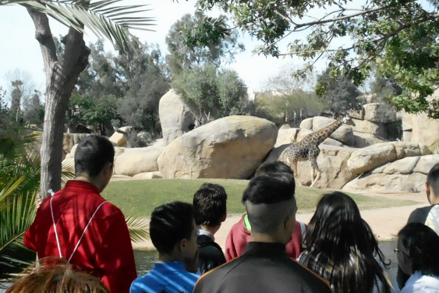 Visita a Bioparc. Centros 'Pi i Margall' y 'Mariano Ribera'. Fundación Diagrama.