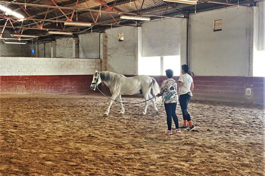 Una de las menores del centro aprende a conducir un caballo