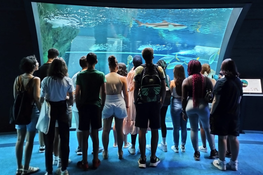 El grupo observa el acuario del BioDomo