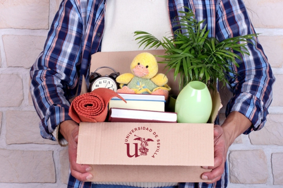 Programa ConvivamUS de la Universidad de Sevilla