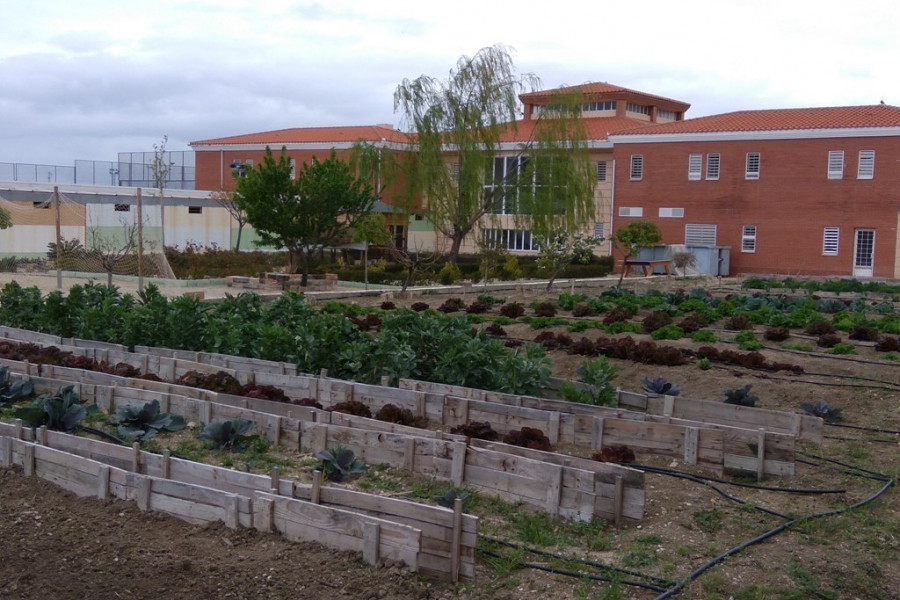 Huerto ecológico del centro 'Las Lagunillas' . Fundación Diagrama.