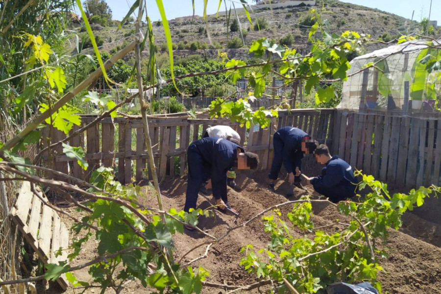 Jóvenes atendidos en el centro ‘Ciudad de Melilla’ aprenden a cultivar la tierra con métodos ecológicos