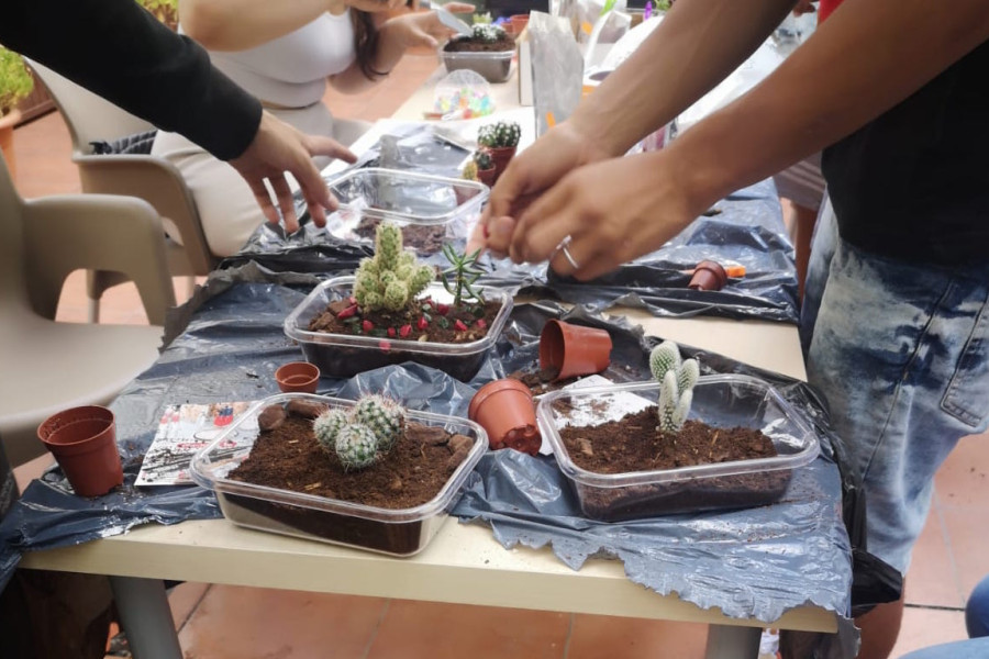 Jóvenes creando pequeños terrarios con cáctus y elementos decorativos