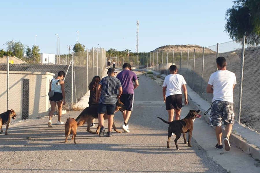 Jóvenes adolescentes del hogar de protección "Arrui" colaboran como voluntarios y voluntarias con la protectora de animales Las Torres