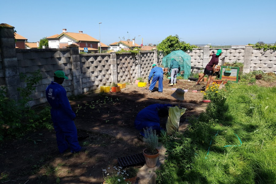 Los jóvenes atendidos en la unidad residencial ‘El Acebo’ participan en un taller prelaboral de jardinería y agricultura