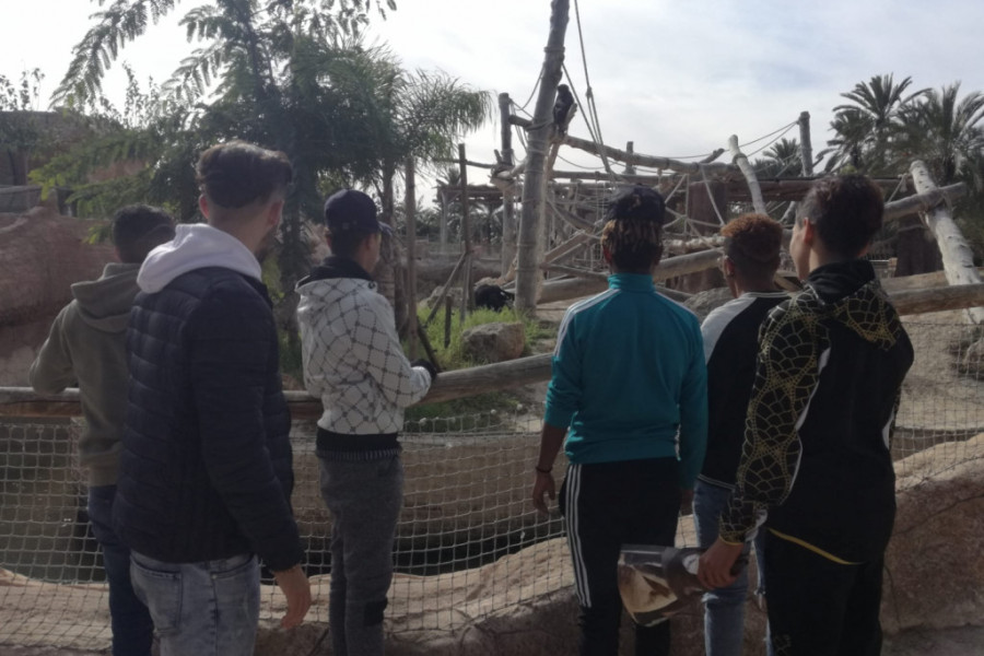 Los jóvenes atendidos en el centro de acogida ‘Benalúa’ de Alicante visitan el parque zoológico Río Safari Elche. Fundación Diagrama. Comunidad Valenciana 2019.