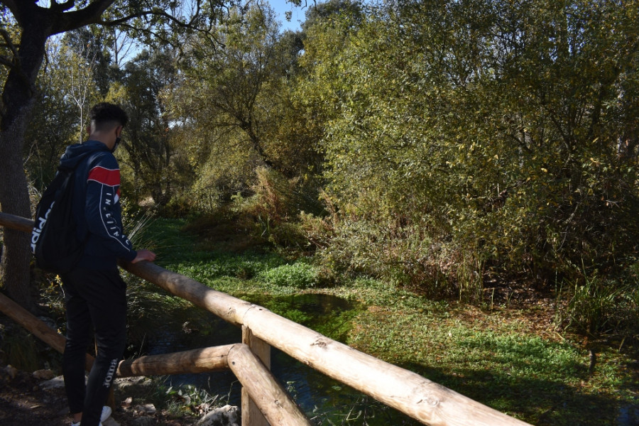 Los jóvenes atendidos en el Hogar ‘La Atalaya’ de Villena (Alicante) descubren la flora y fauna del Parque Natural Sierra de Mariola. Fundación Diagrama. Comunidad Valenciana 2020.