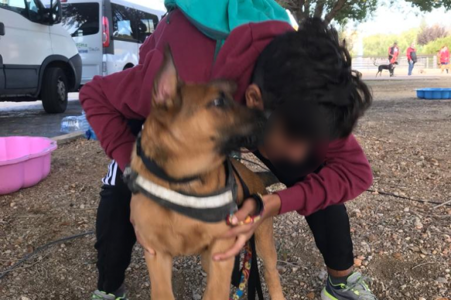 Los jóvenes atendidos en la Unidad de Fomento de la Autonomía ‘Bayt Al Saadaka’ de Amposta colaboran con la protectora de animales de la ciudad. Fundación Diagrama. Cataluña 2019. 