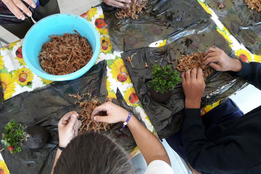 Taller de kokedama realizado en el centro 'Odiel' de Huelva. Fundación Diagrama.