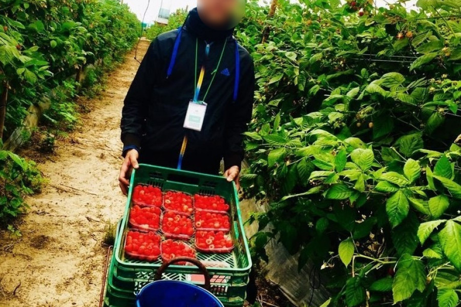 Más de 20 jóvenes atendidos en el Programa Labora de Andalucía son contratados por distintas empresas de la provincia. Fundación Diagrama 2020.