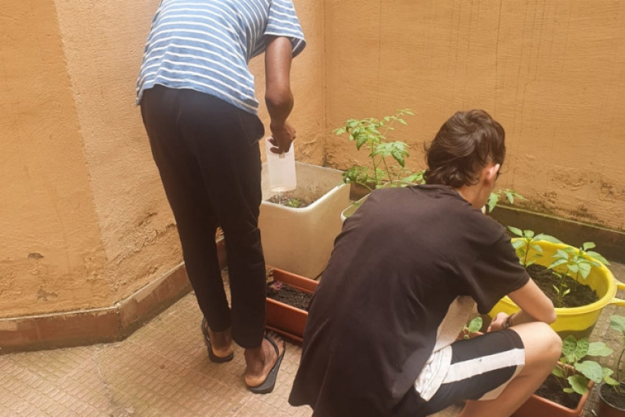 Los menores atendidos en la residencia ‘Iregua’ de Logroño llevan a cabo un taller de cocina saludable tras crear un huerto urbano. Fundación Diagrama. La Rioja 2020.