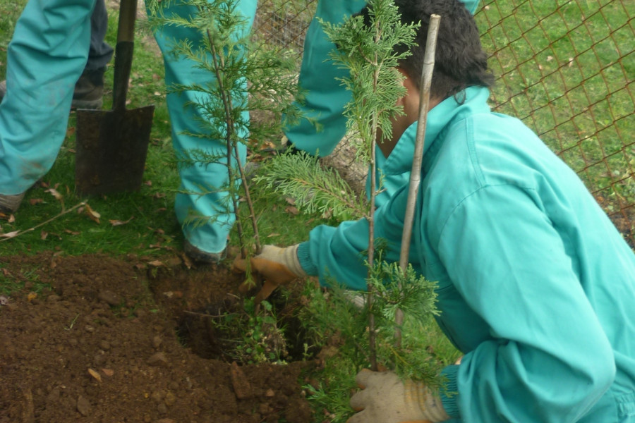 Nueva promoción de Técnicos de Jardinería en el Centro Socioeducativo Juvenil del Gobierno de Cantabria