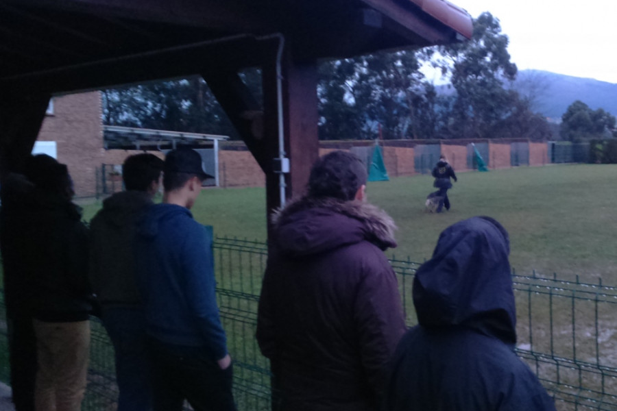 Los jóvenes de la unidad residencial ‘El Acebo’ (Santander) visitan el Centro Canino Parayas de Maliaño. Fundación Diagrama. 