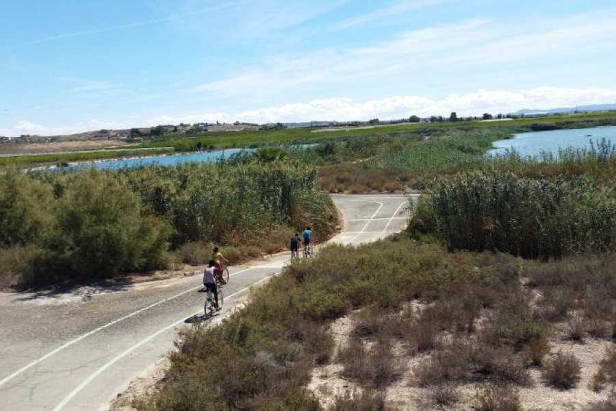 Ruta en bicicleta por las Lagunas de Campotéjar. 'Arrui'. Fundación Diagrama.