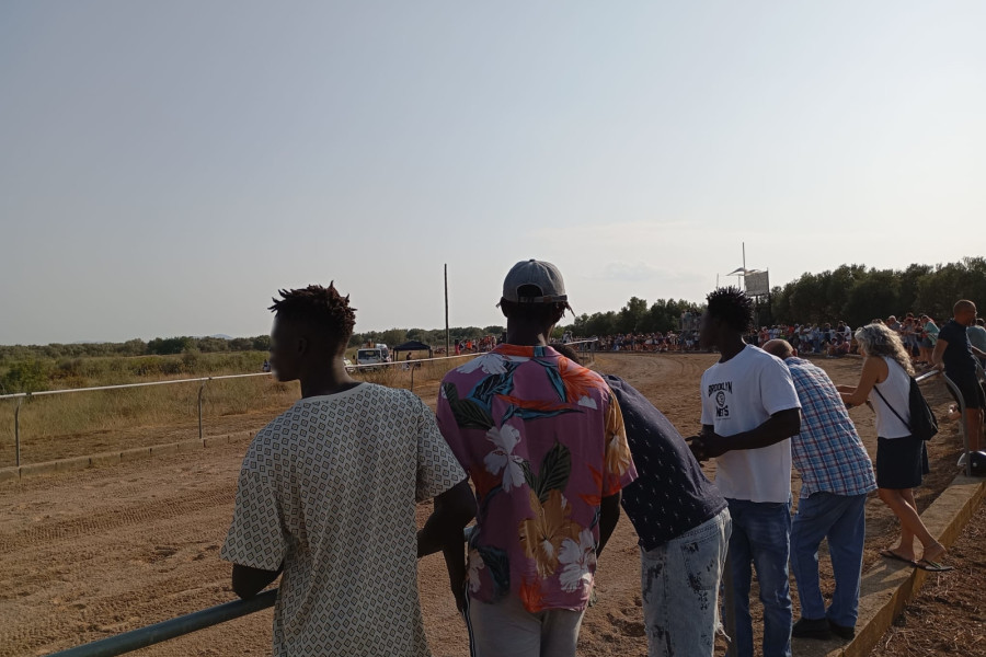 JÓVENES DE SPAI ULLALS CARRERA DE CABALLOS EN LA SÈNIA