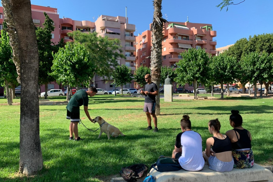 Un taller socioeducativo con perros refuerza la responsabilidad y empatía de los jóvenes atendidos en el hogar ‘Oriola’ de Orihuela (Alicante). Fundación Diagrama. Comunidad Valenciana 2020.