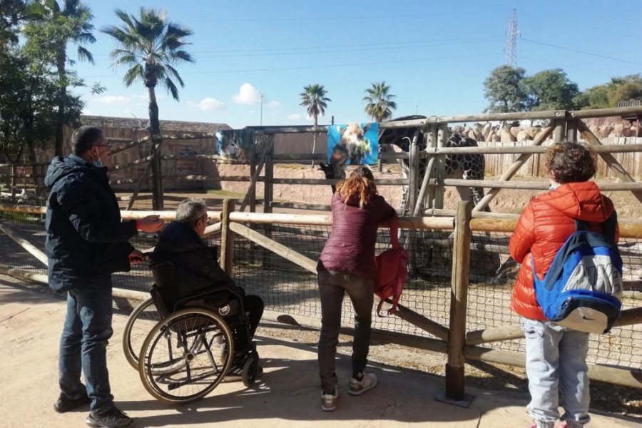 Cuatro personas del centro observan una jirafa en cautividad