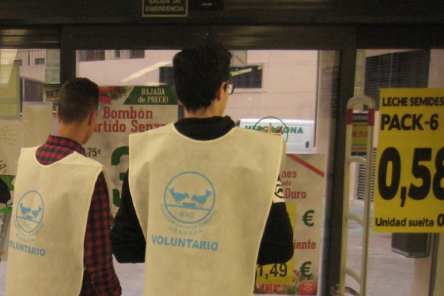 Menores de San Miguel' de Granada. Fundación Diagrama. Recogida de alimentos.