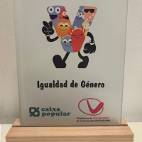 IX Premio de Voluntariado en la categoría de Igualdad de Género